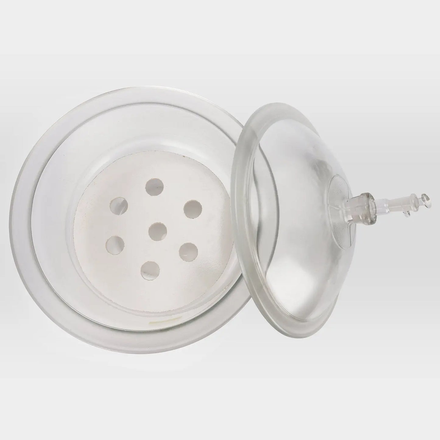 Glass Lab Vacuum Desiccator, 24/29 Joint Labasics