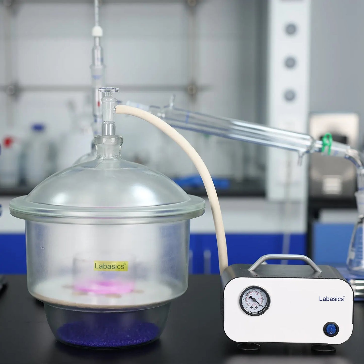 Glass Lab Vacuum Desiccator, 24/29 Joint Labasics