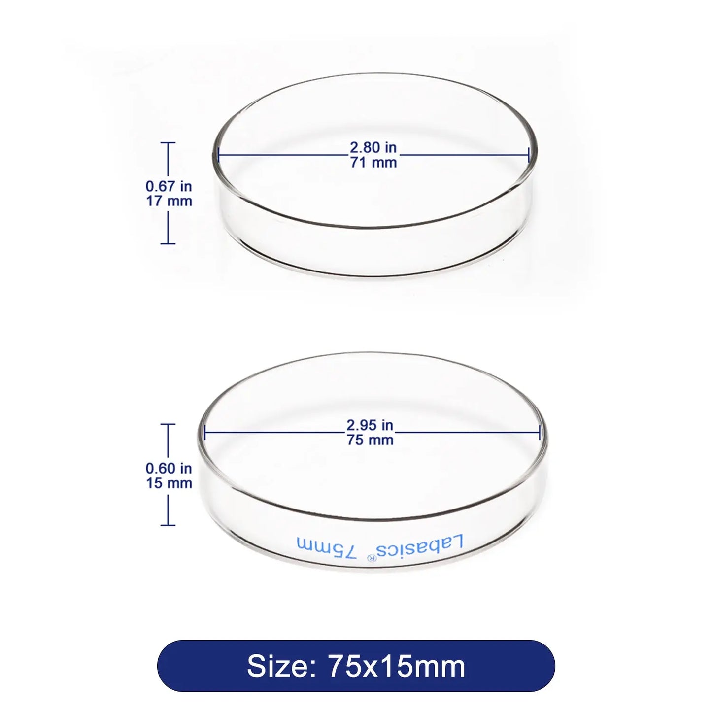 Glass Petri Dishes, 10 Packs Labasics shop