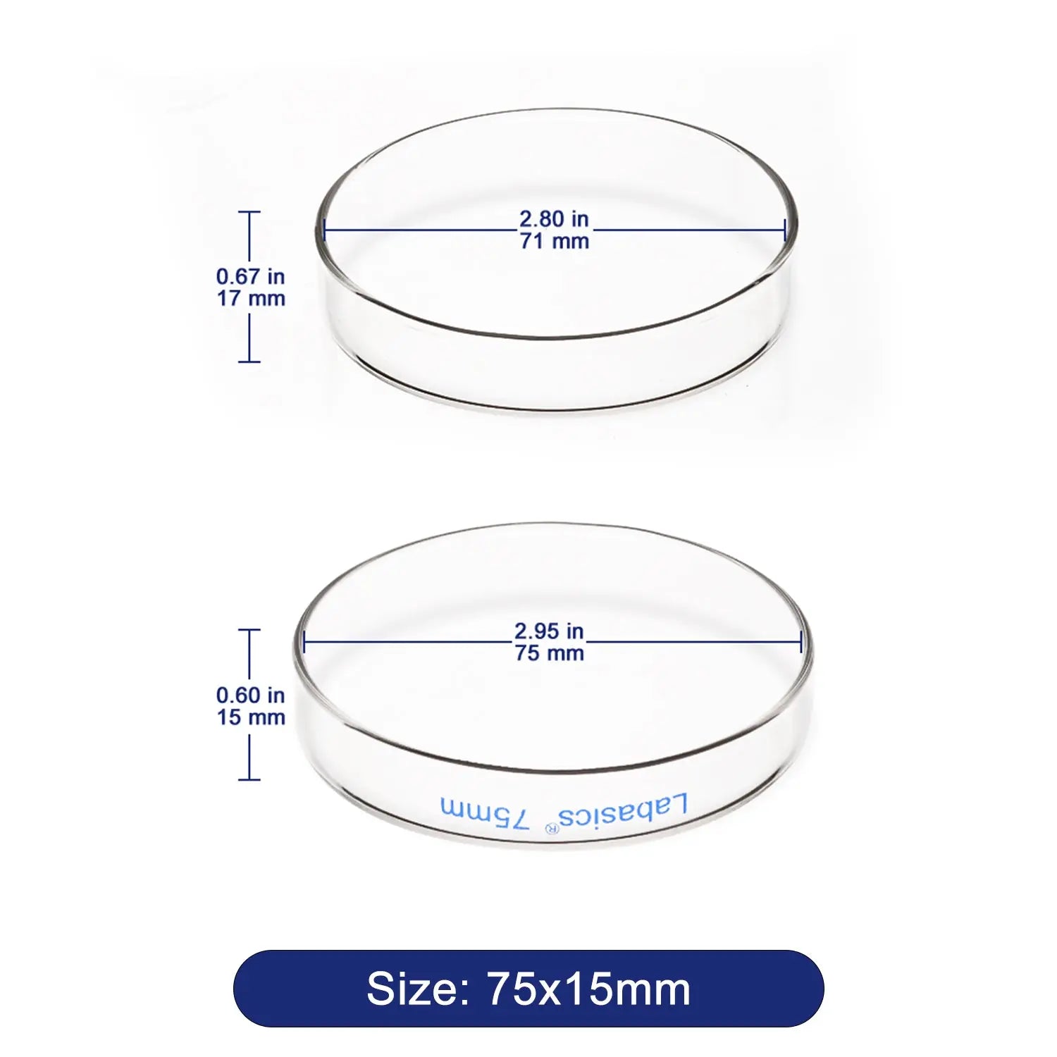 Glass Petri Dishes, 10 Packs Labasics shop