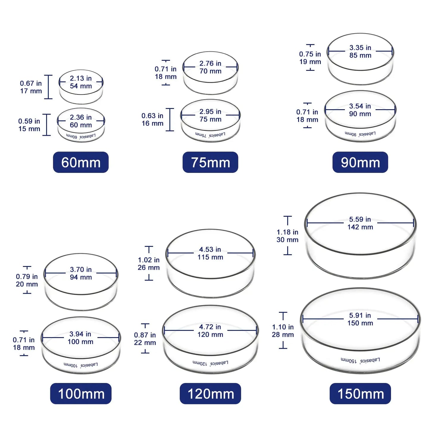 Glass Petri Dish with Lid, 60-150 mm Outer Diameter Labasics