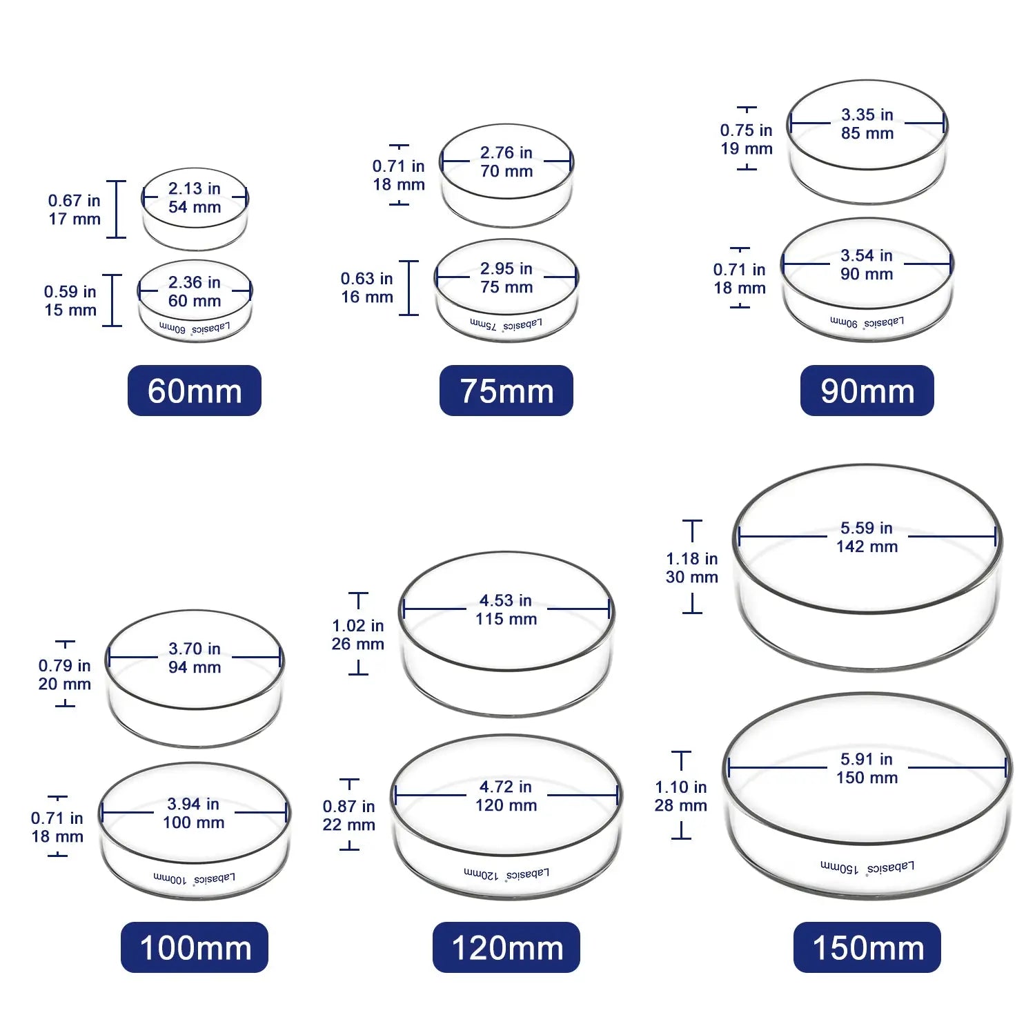 Glass Petri Dish with Lid, 60-150 mm Outer Diameter Labasics