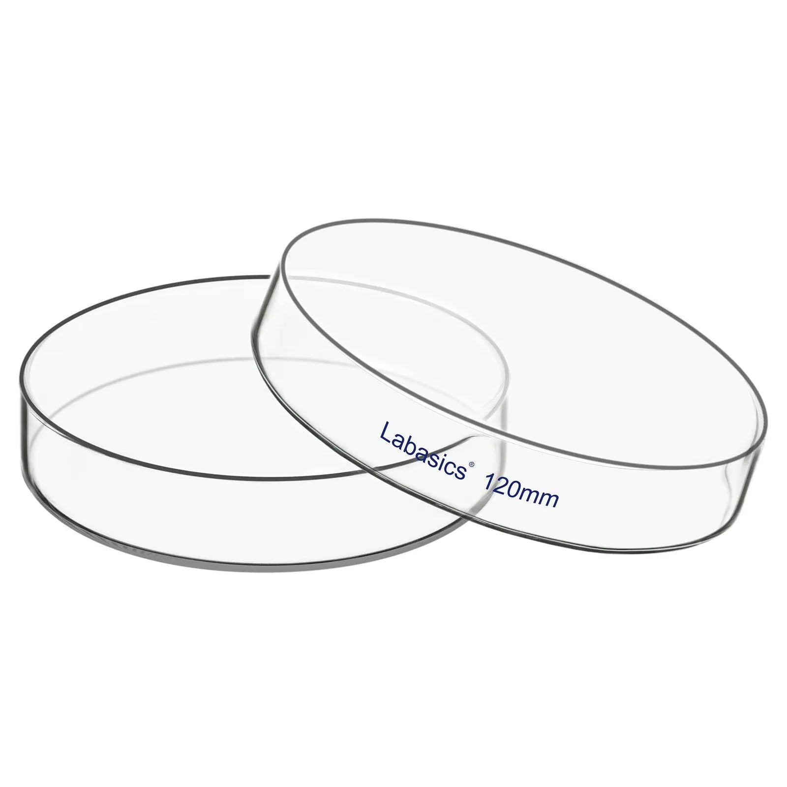 Glass petri dish with lid, 120 mm diameter, transparent borosilicate glass, autoclavable, for sample storage and laboratory experiments
