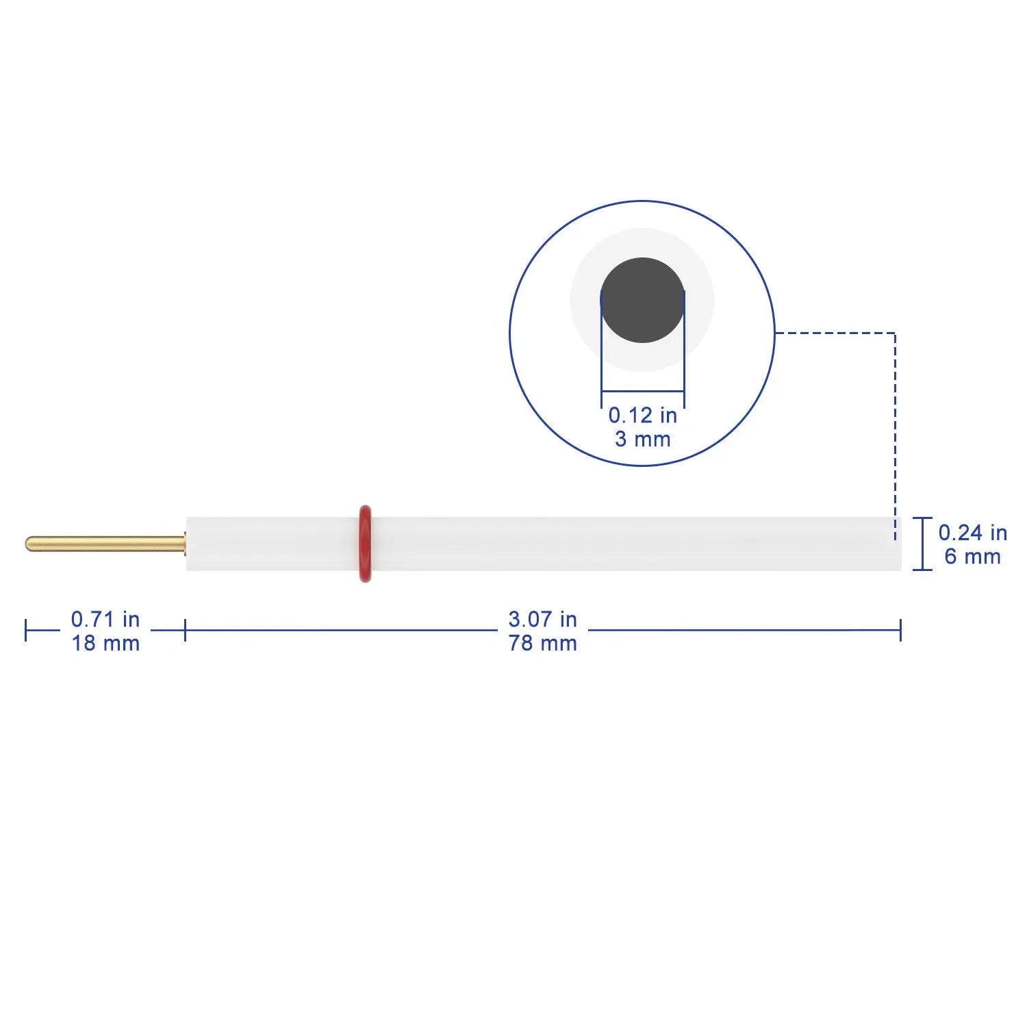 Graphite Disk Electrode Labasics shop