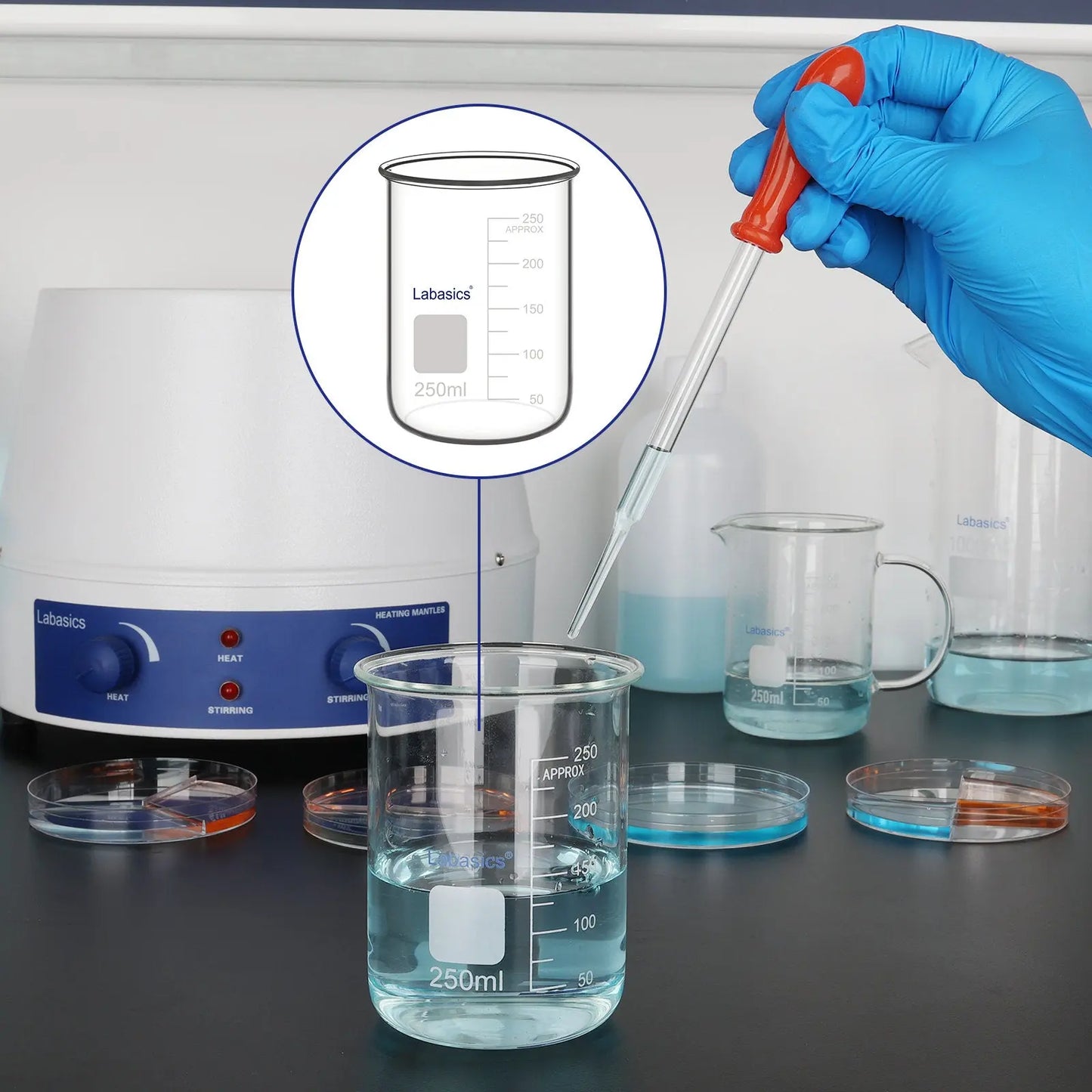 Glass Beaker, No Spout, 50-500 mL Labasics
