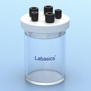 Electrode Knob Screw, 5-Pack, M6 / M12 PP, Solid & Hollow Types for Electrolysis Cell Connections Labasics Shop